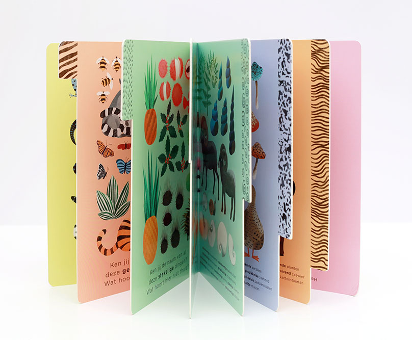Treasure Hunt , Children's Books by Hvass&Hannibal.