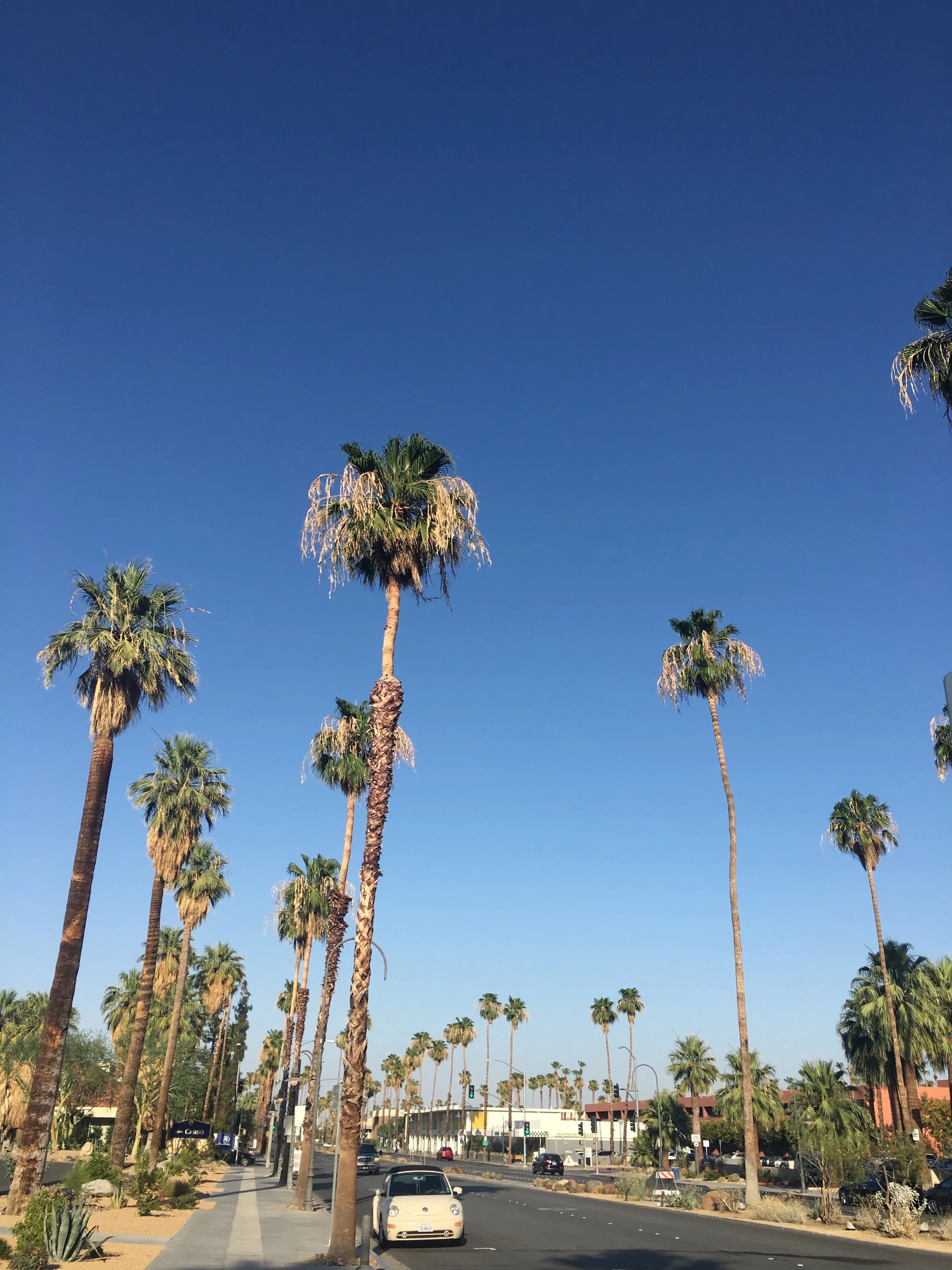Palm Springs