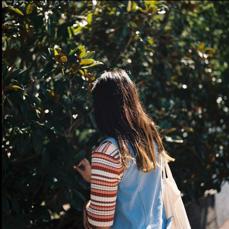 Image by Leah Jing McIntosh