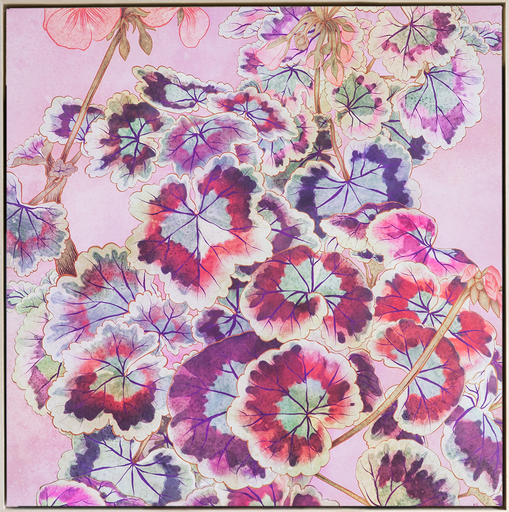 Image by Virginia Venn