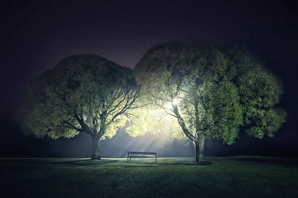 "These Pieces Fit" by Mikko Lagerstedt.