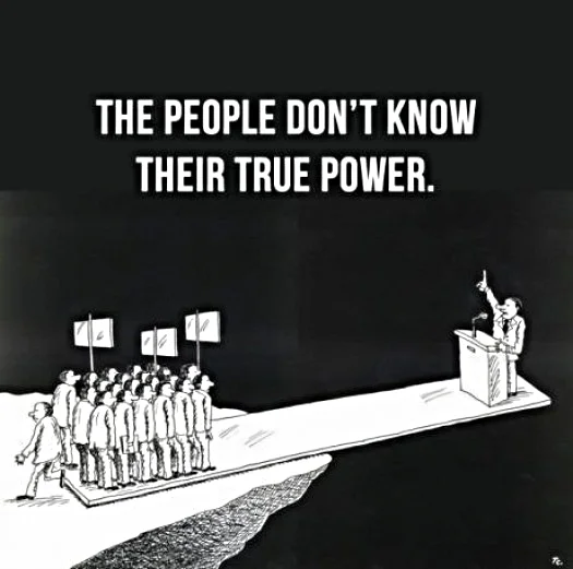 "Voting is not an act of political freedom. It is an act of political conformity. Those who refuse to vote are not expressing silence. They are screaming in the politician's ear: 'You do not represent me. This is not a process in which my voice matters. I do not believe you." -Wendy McElroy.
