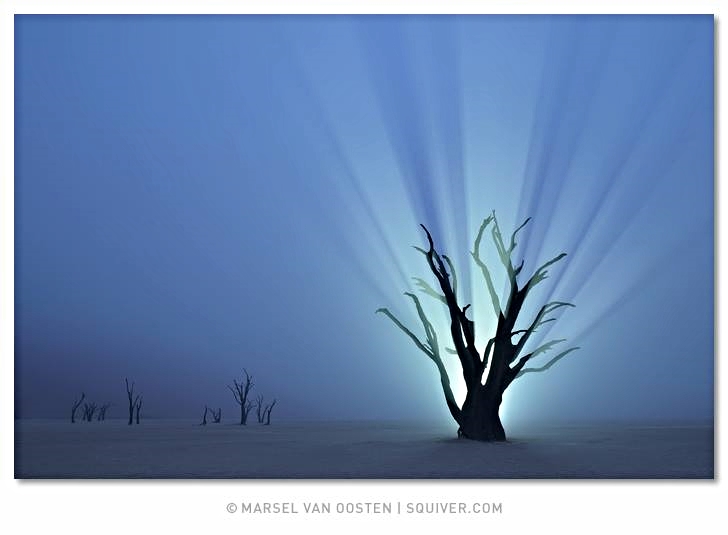 " Resurrection "
