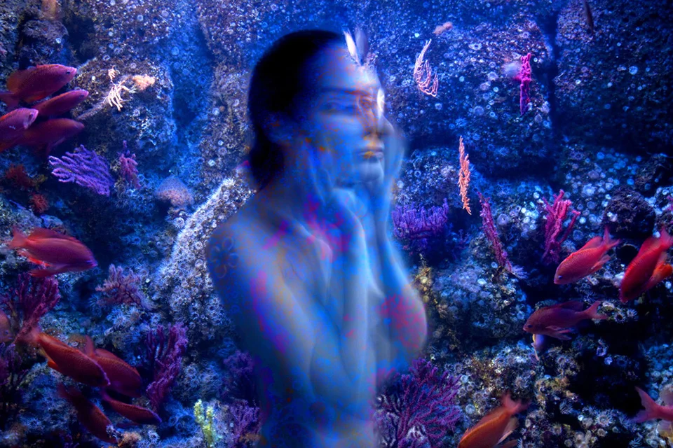 " Nereid "