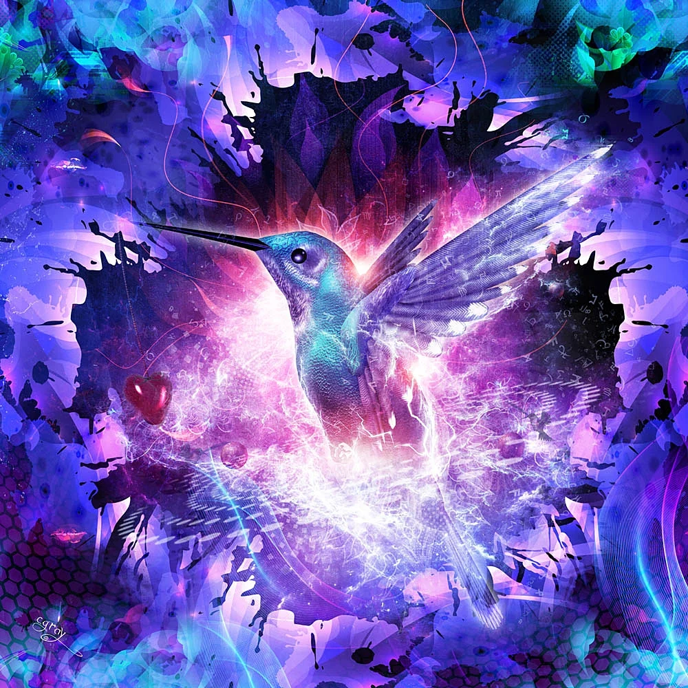 " Hummingbird Love "