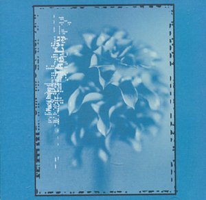 Placid Angles : The Cry