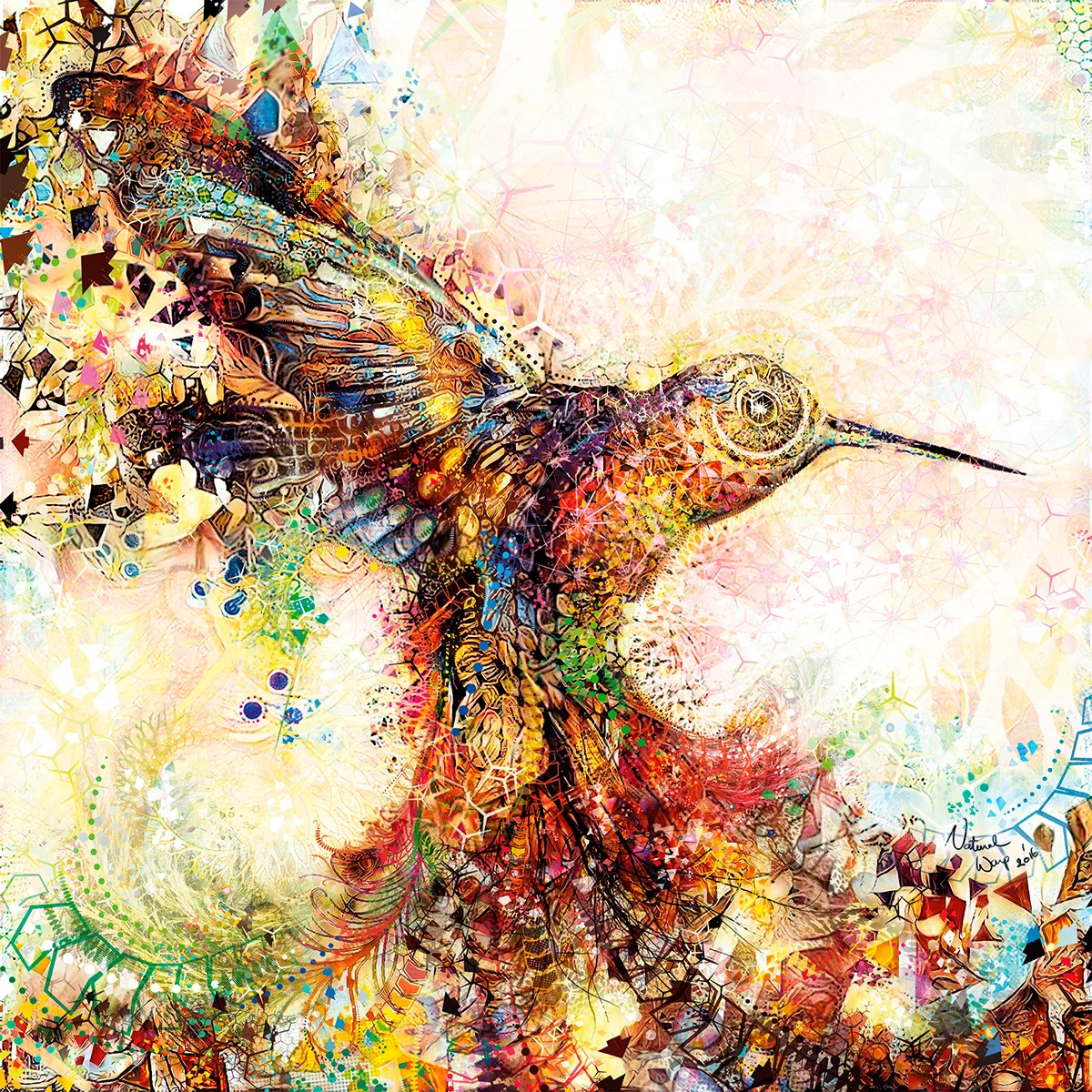Natural Warp : Hummingbird of Paradise