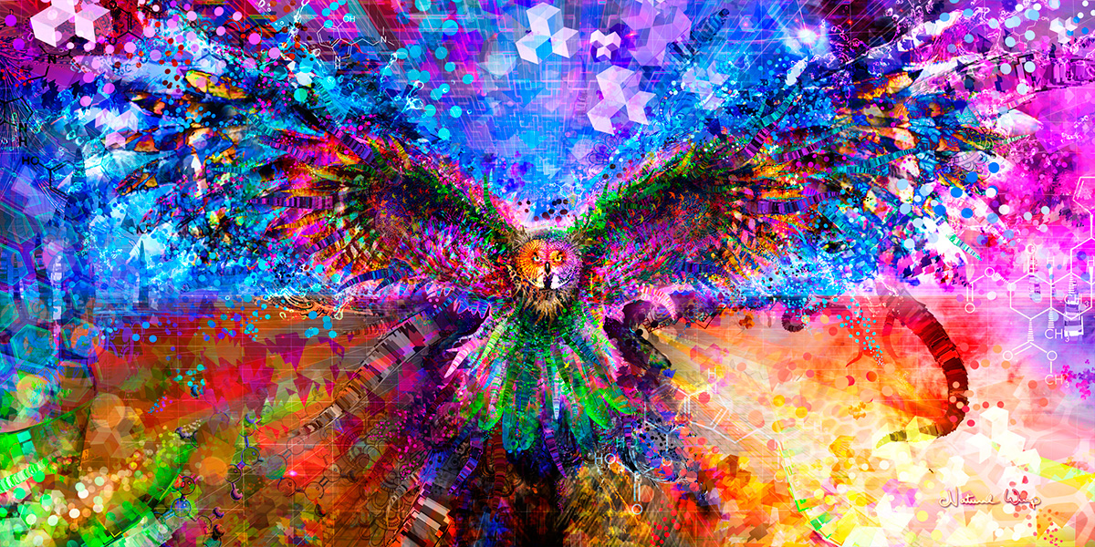 Natural Warp : Enter Your Mind