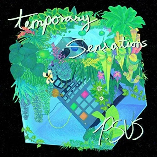 P.SUS : Temporary Sensations