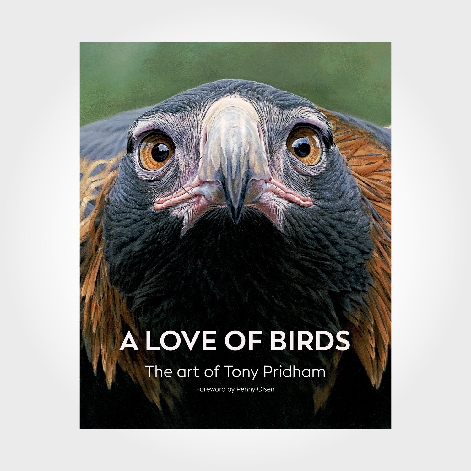 A Love of Birds: The Art of Tony Pridham
