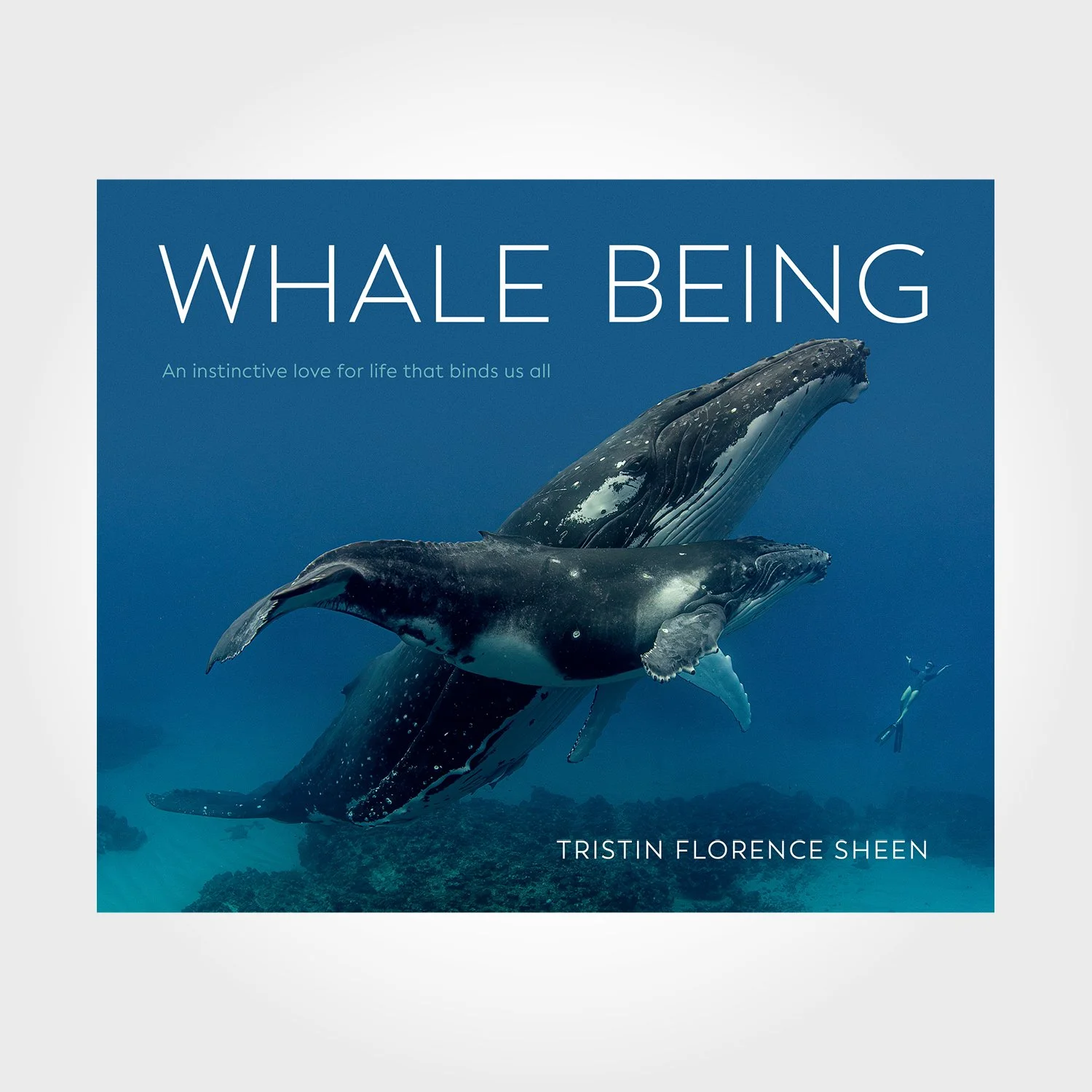Whale Being