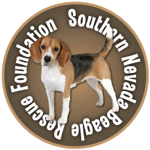 Southern Nevada Beagle Rescue