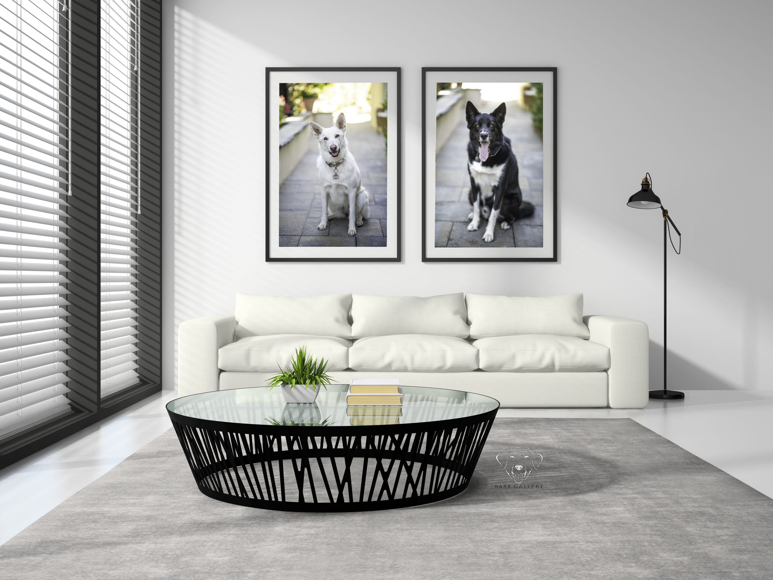 Modern Pet Portrait