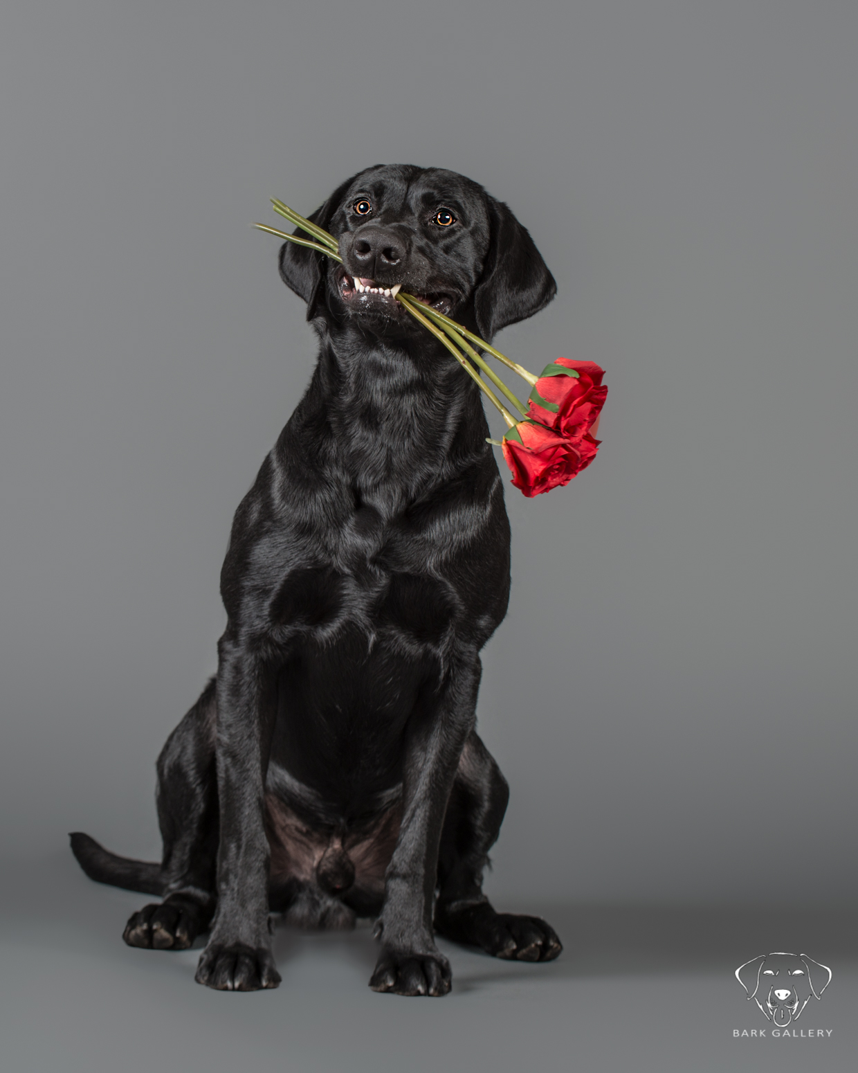 Will you be mine? 