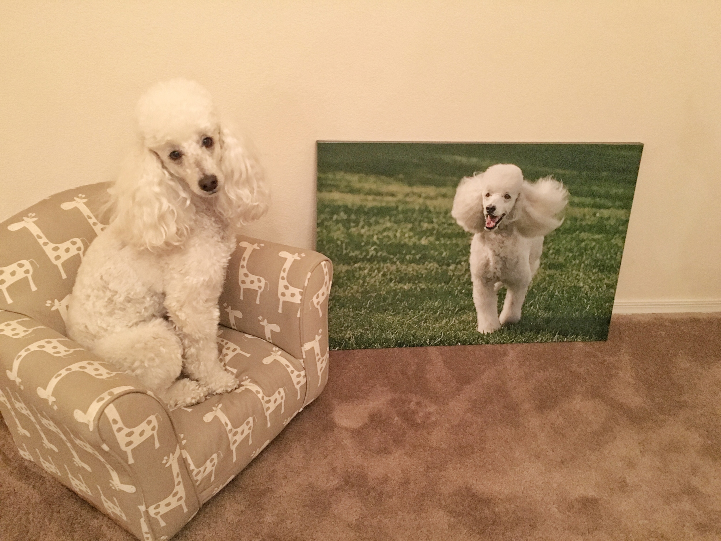 Casper