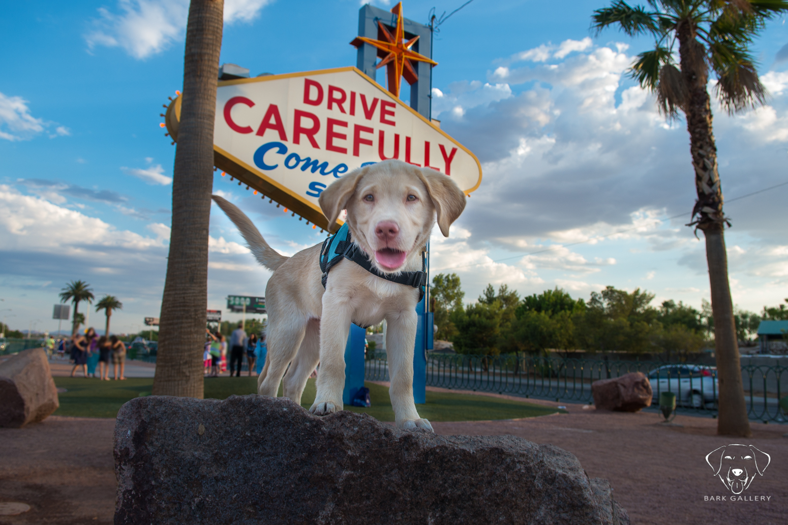 Fred greeting his fans on the Las Vegas Strip
