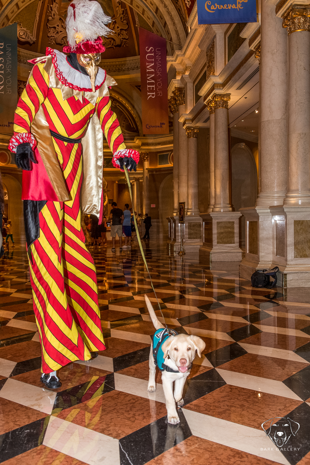 Fred going for a walk at the Venetian