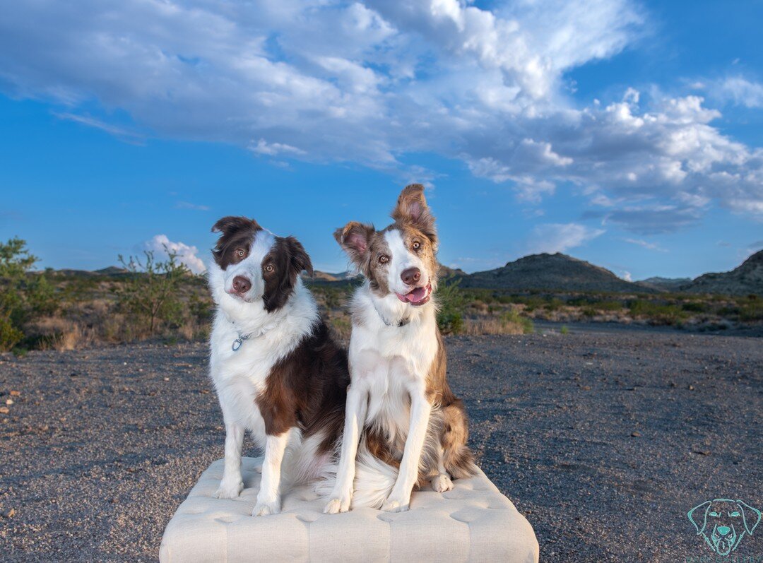 Head tilters