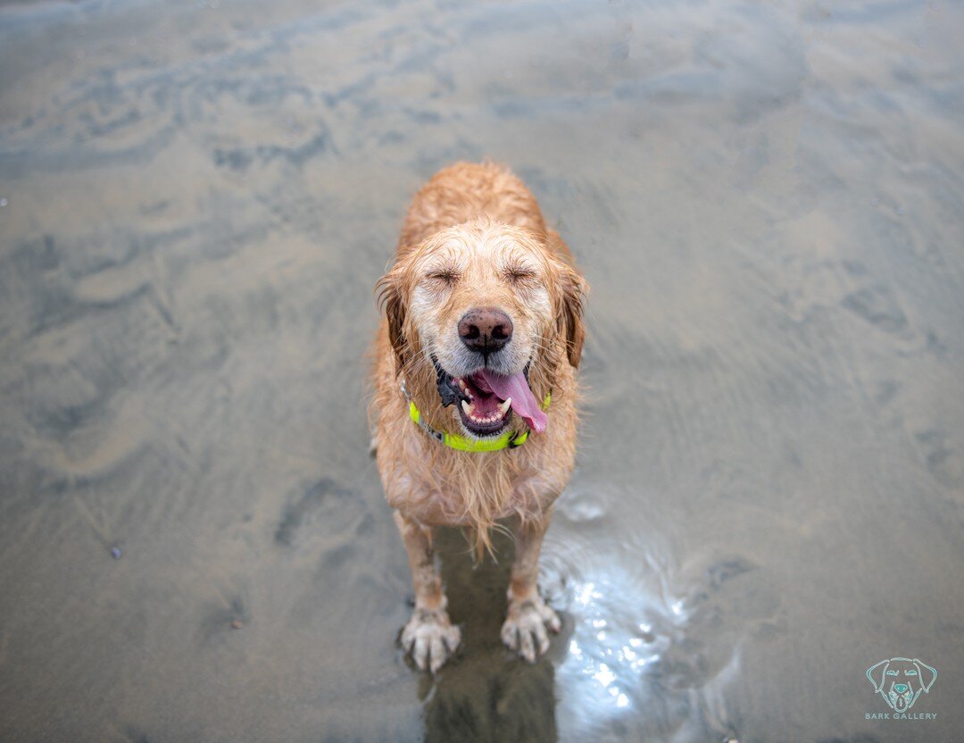 When you enjoy beach days, and just love soaking in the sun, and the nice weather.