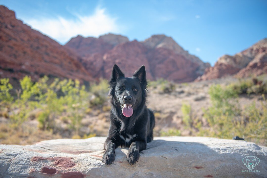 My favorite spot for photos in Las Vegas is Red Rock Canyon.