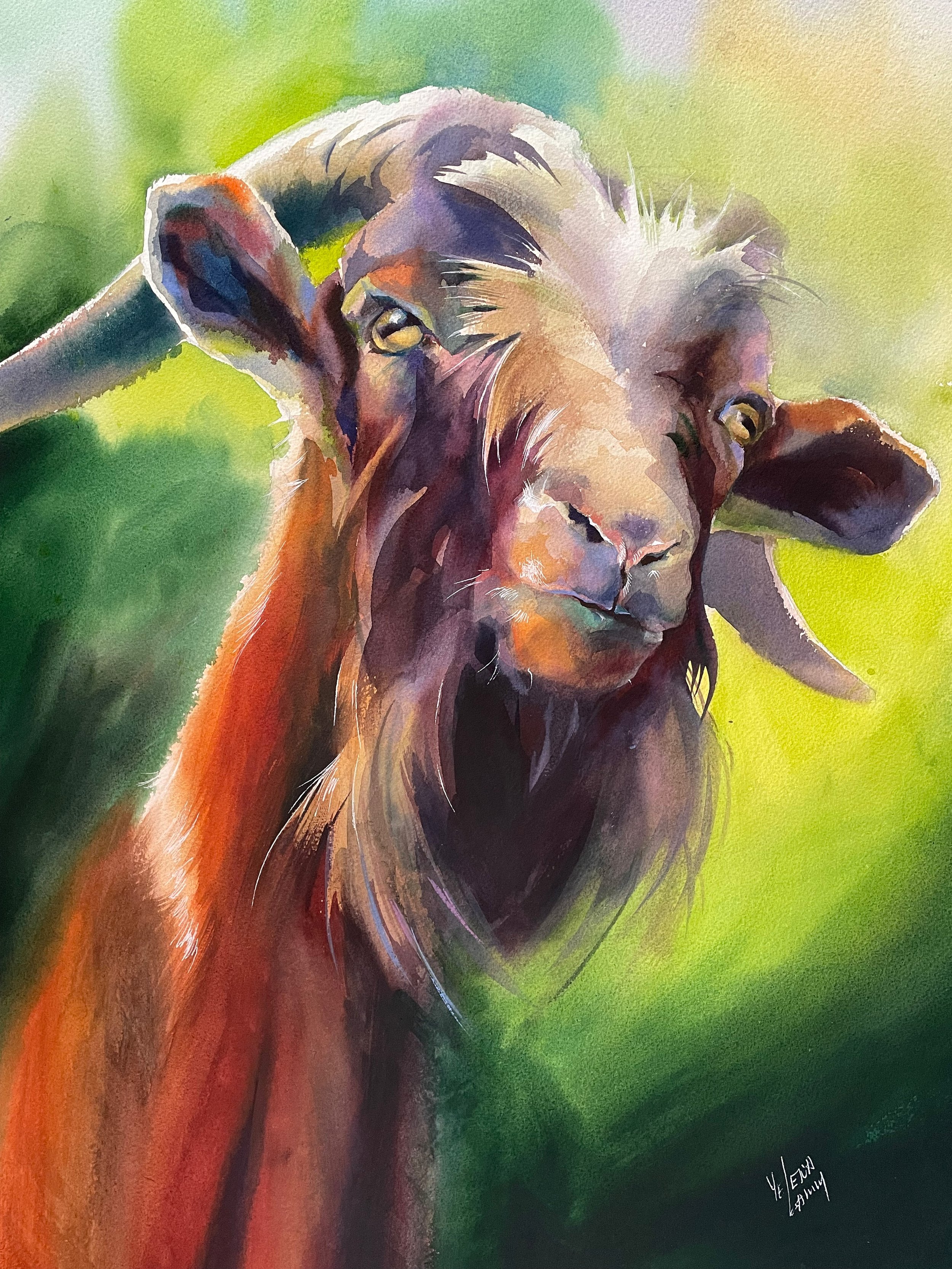  Sir Goat  18” x 24” watercolor Available 