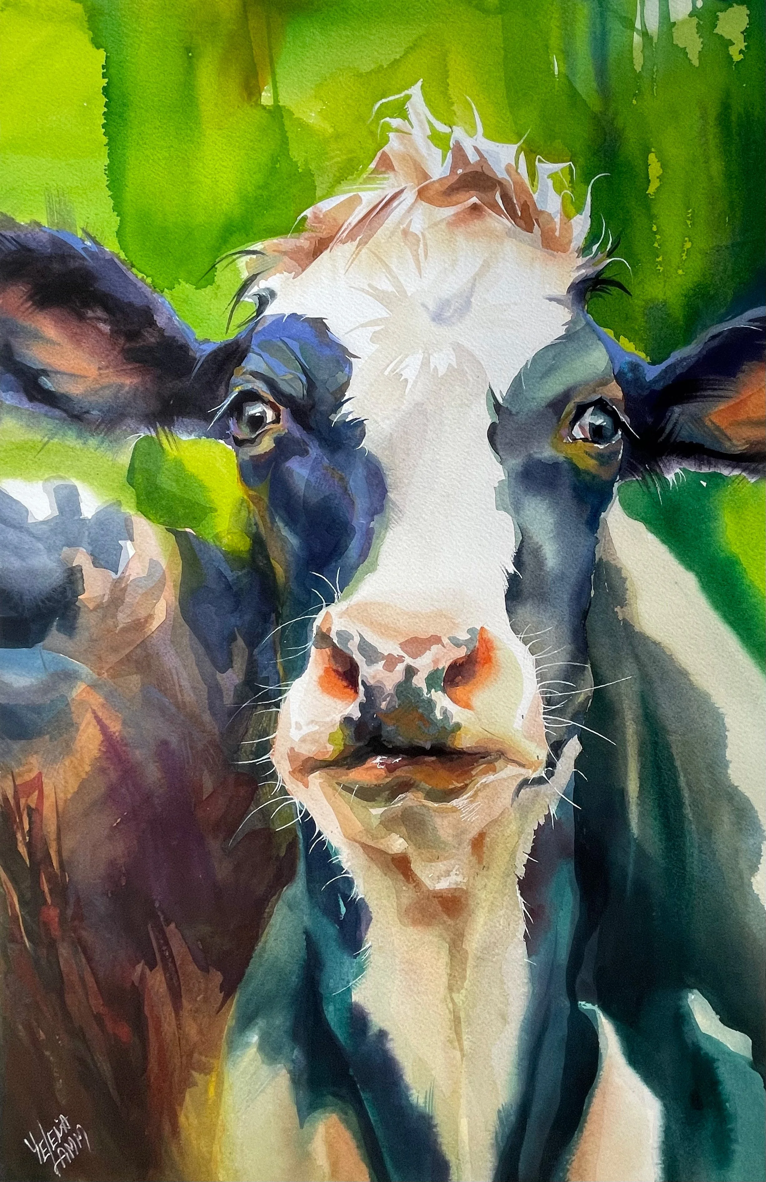   Madam Cow  🟡   PENDING 13” x 20” watercolor 