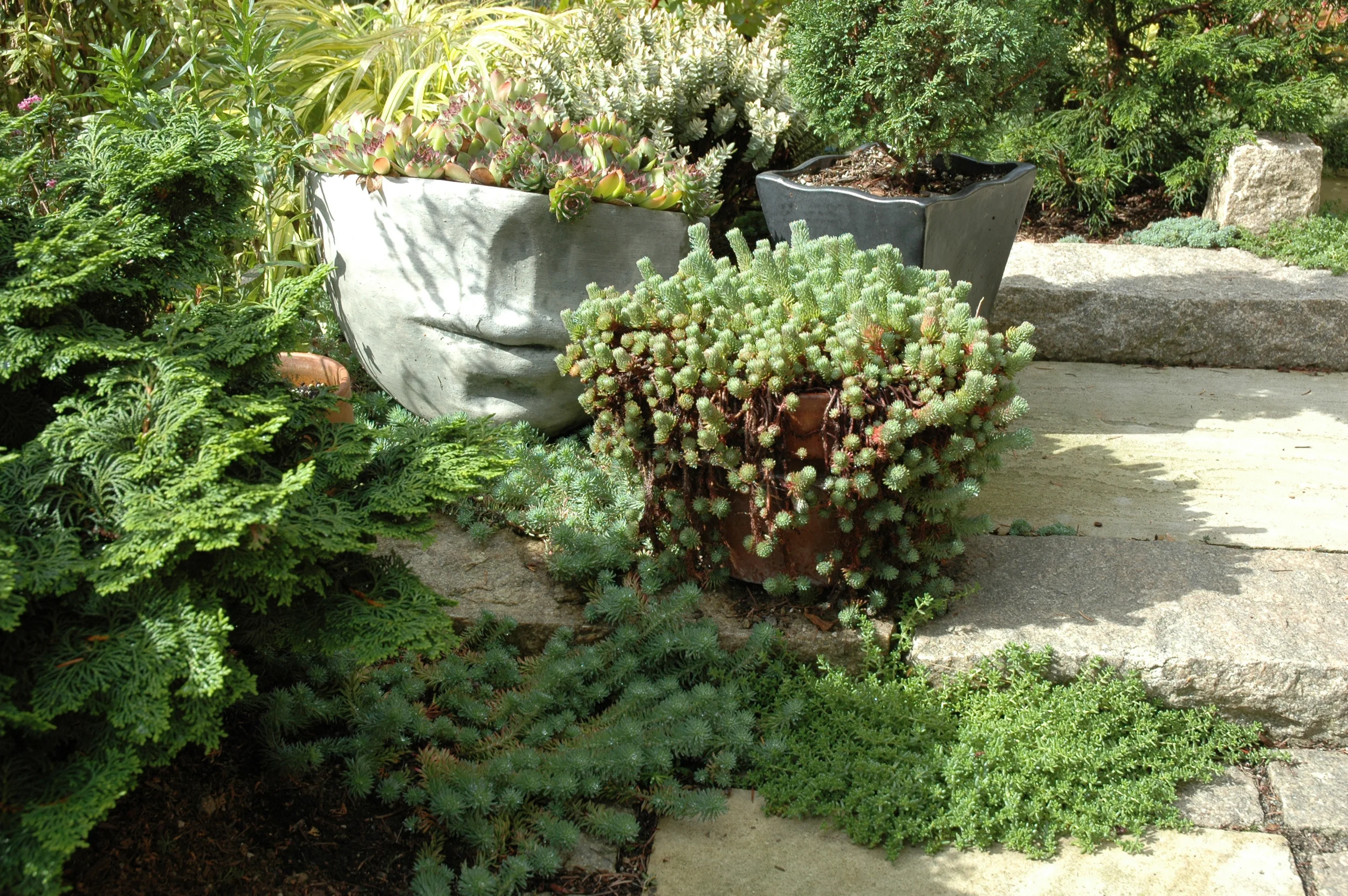 Getting Things Done in Danielson Grove