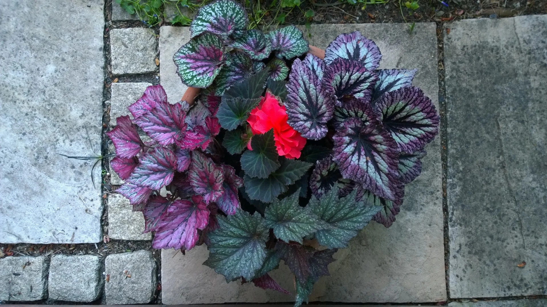 How Much Money Could We Save by Fixing Our Photoelectric Sensors?