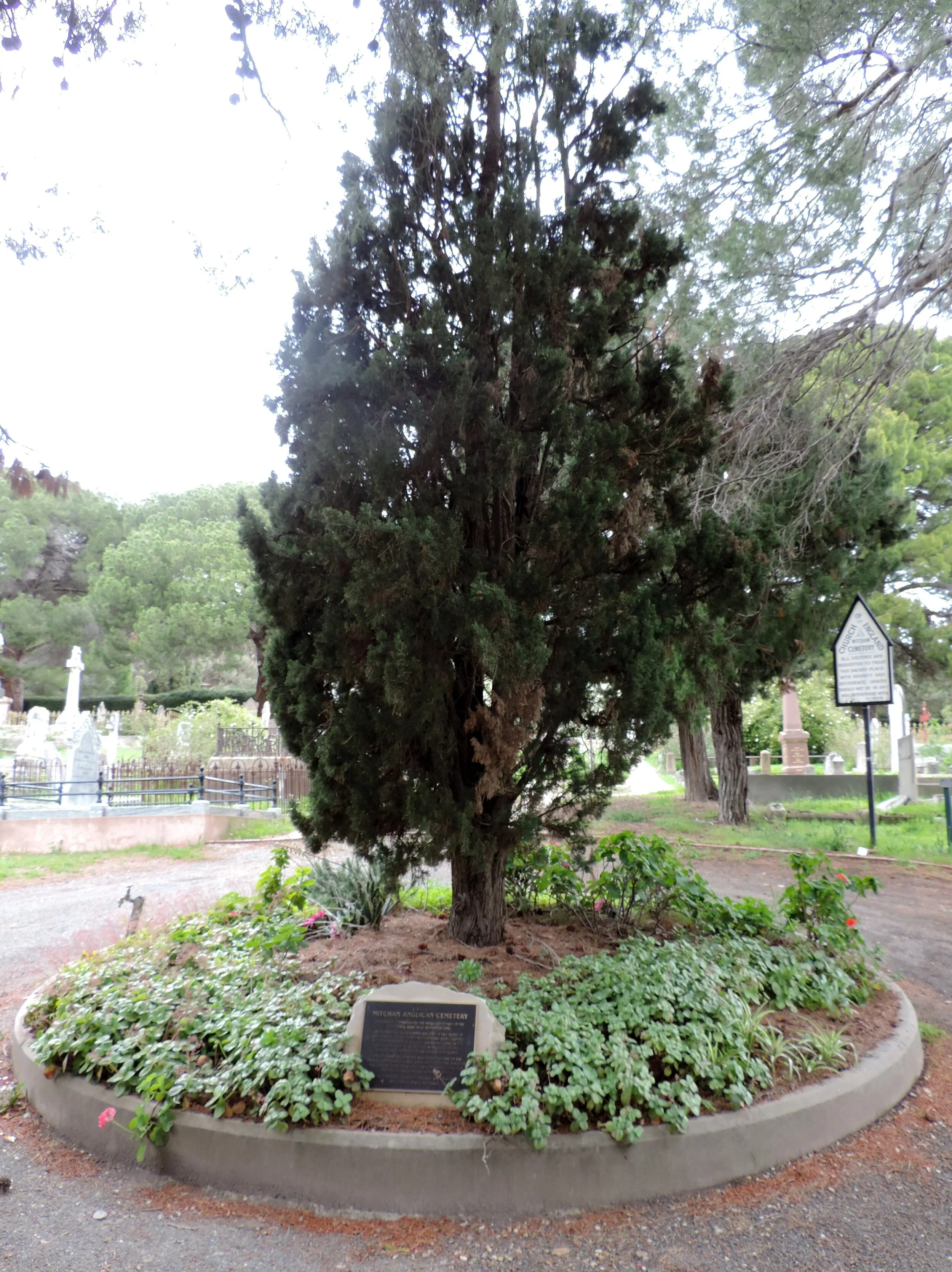 DSCN1429.JPG