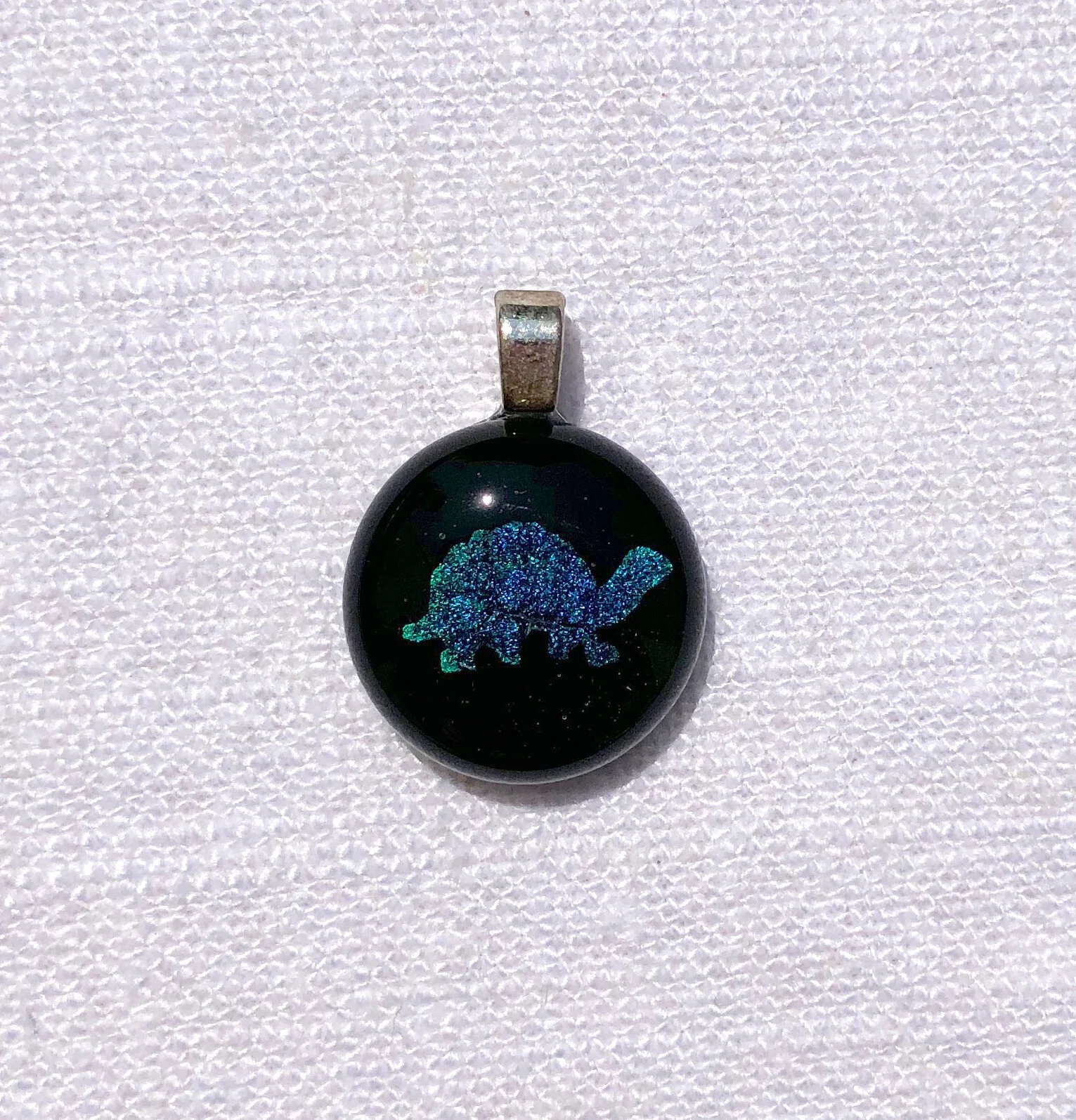 P59_EDITED_Little_Turtle.jpg