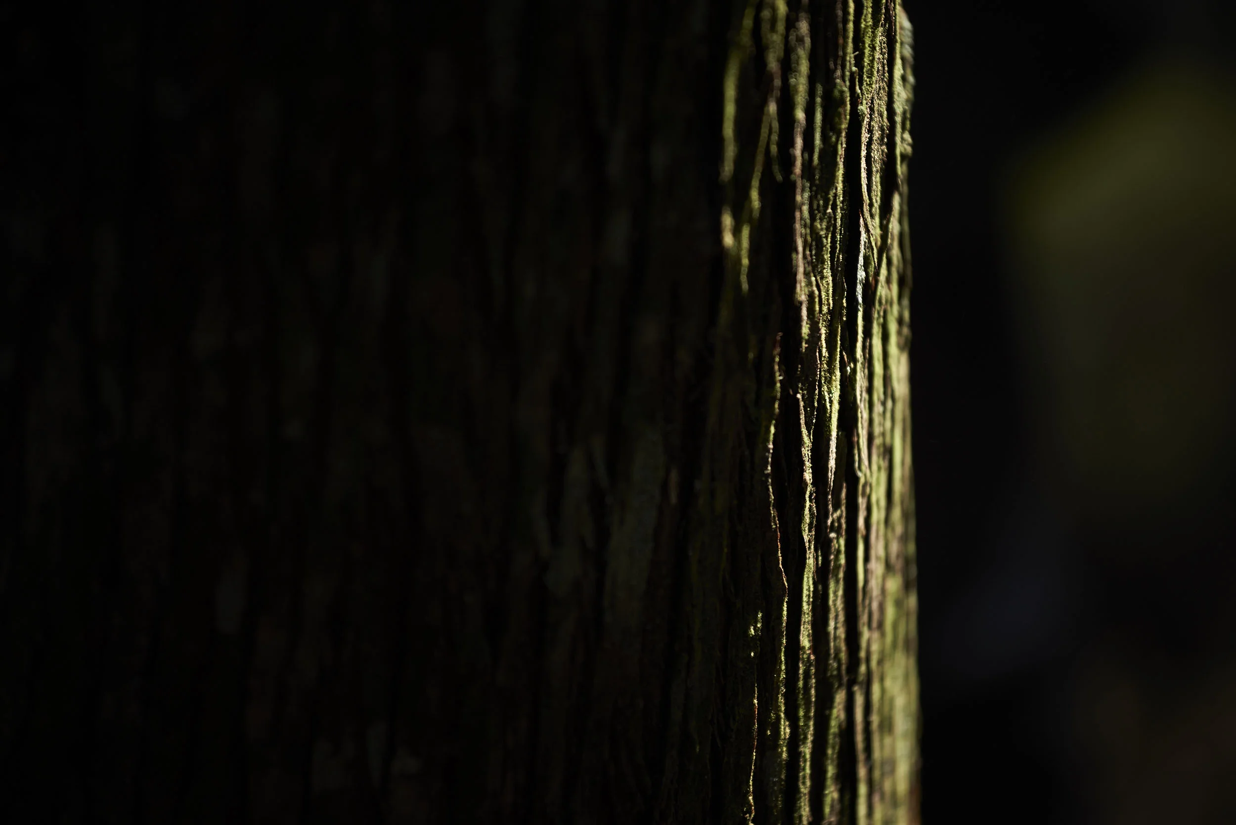 a_005.jpg