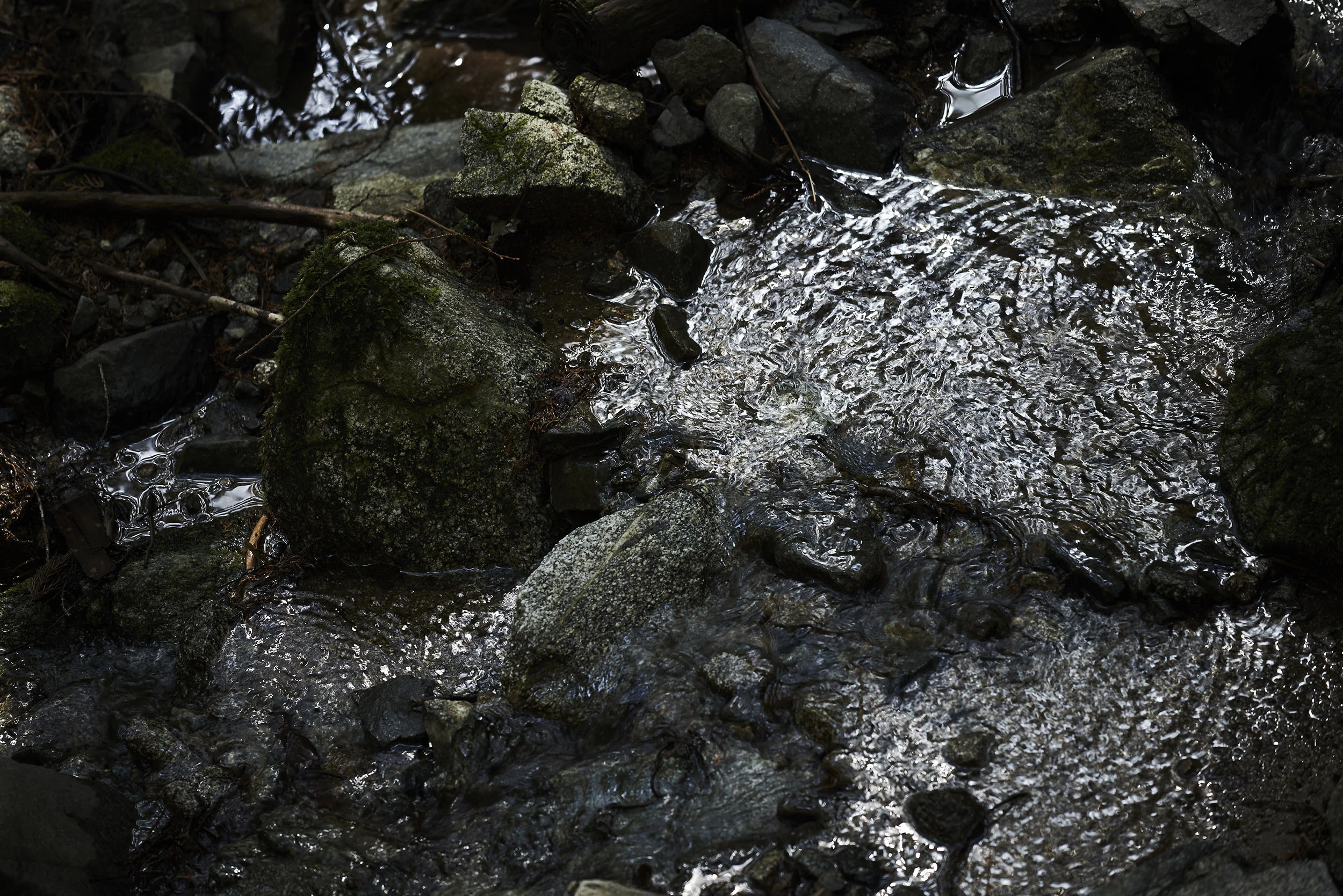 a_006.jpg