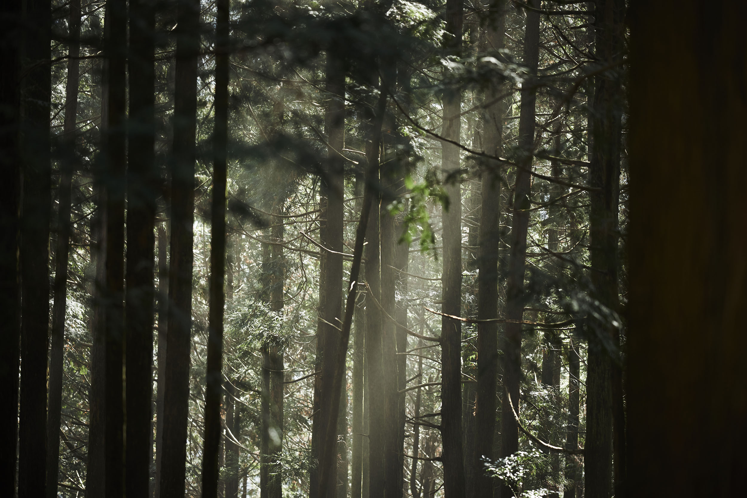 a_012.jpg