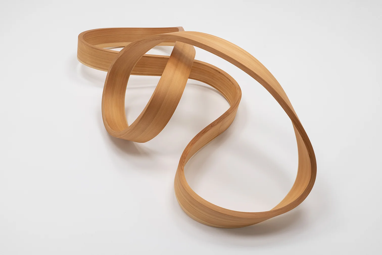 arbol-object8.jpg