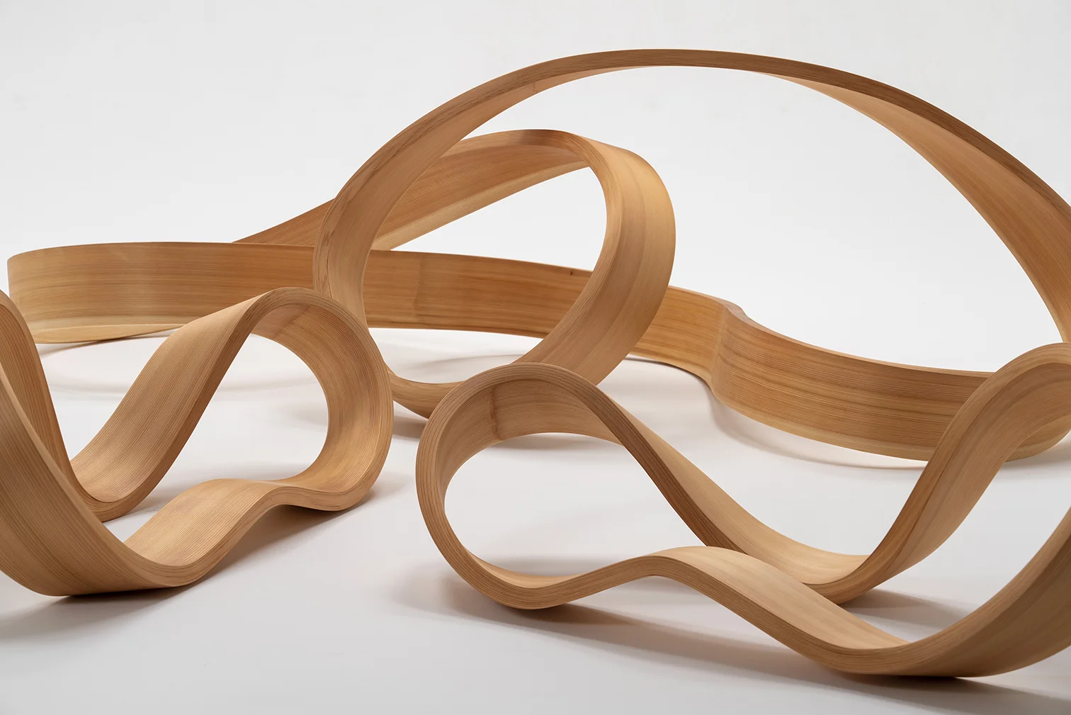 arbol-object10.jpg