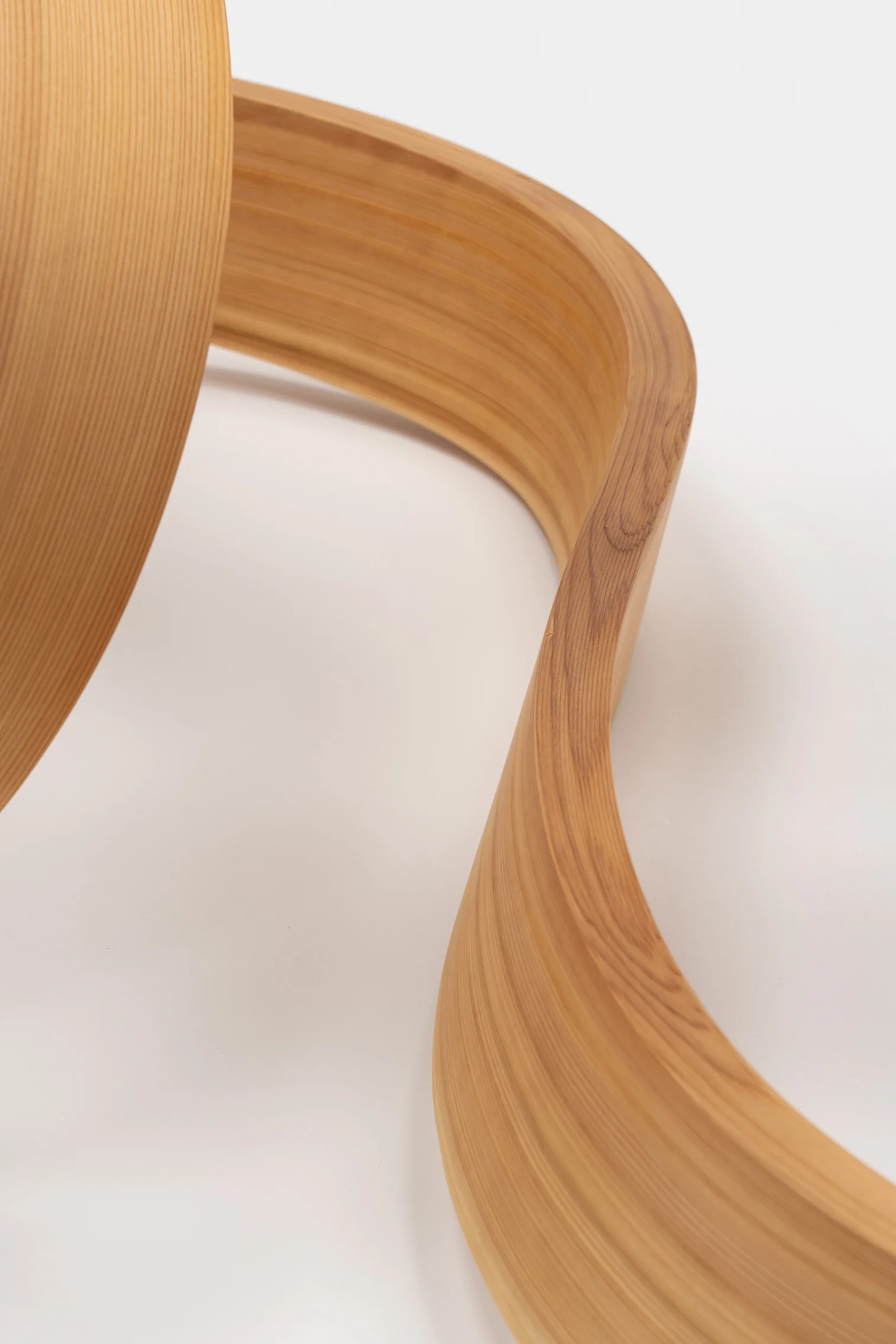 arbol-object11.jpg