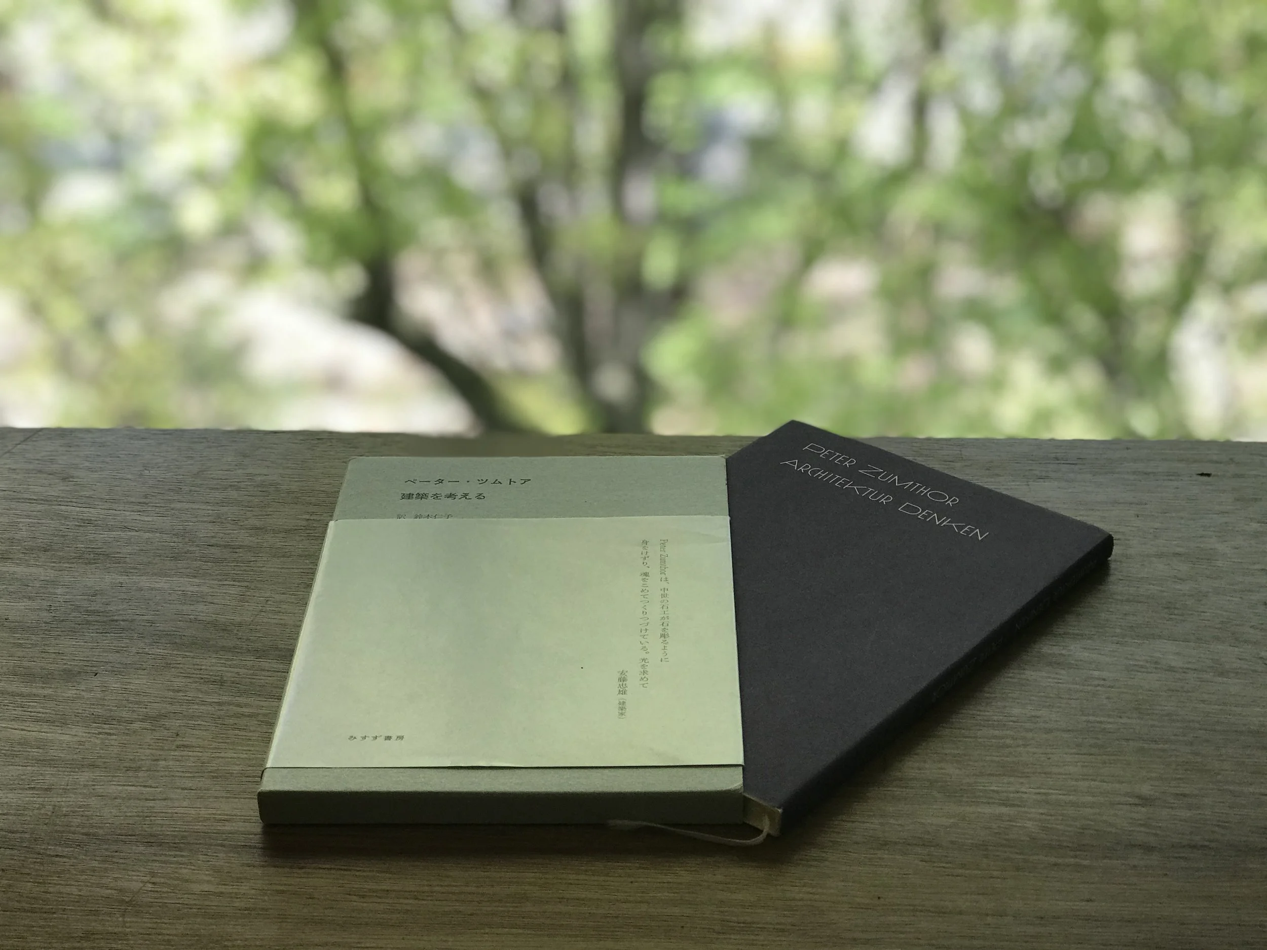 arbol-arbol-peterzumthor-book.jpg