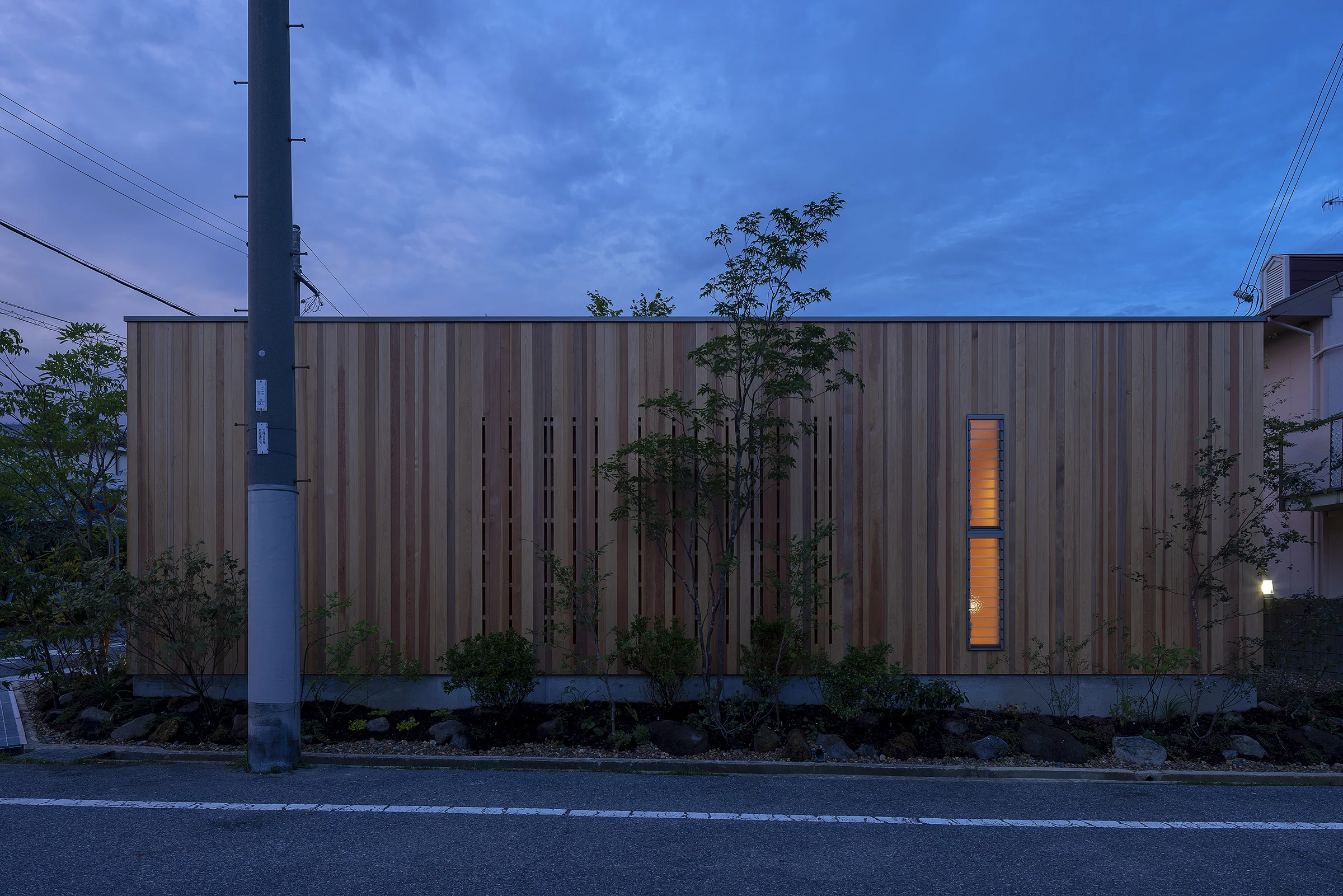 arbol-arbol-straipe-woodhouse.jpg