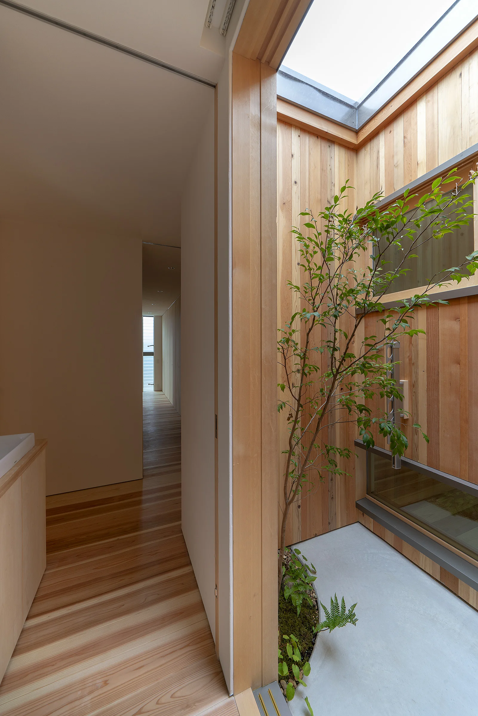 arbol-simple-dryingroom.jpg