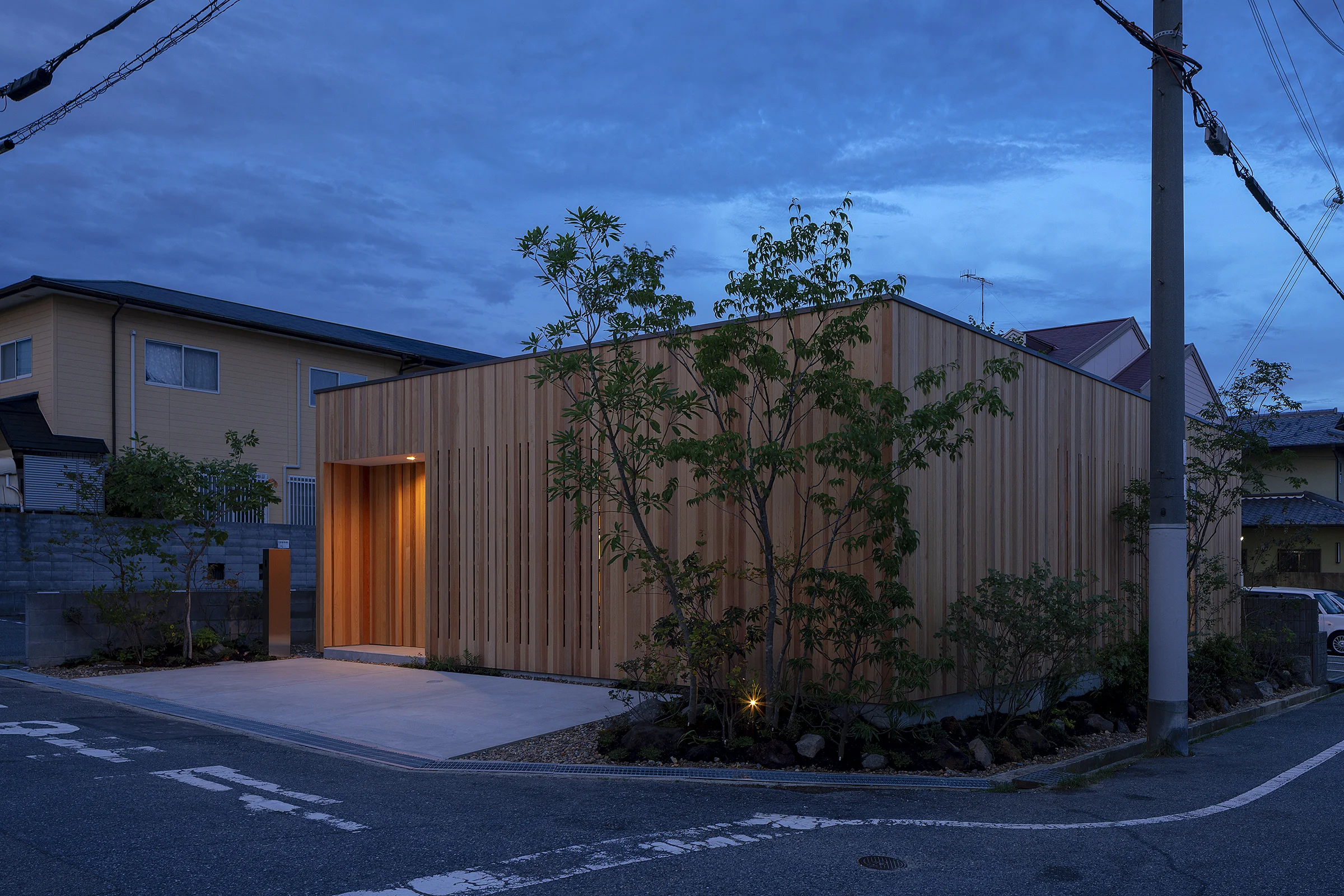 arbol-straipe-woodenhouse..jpg