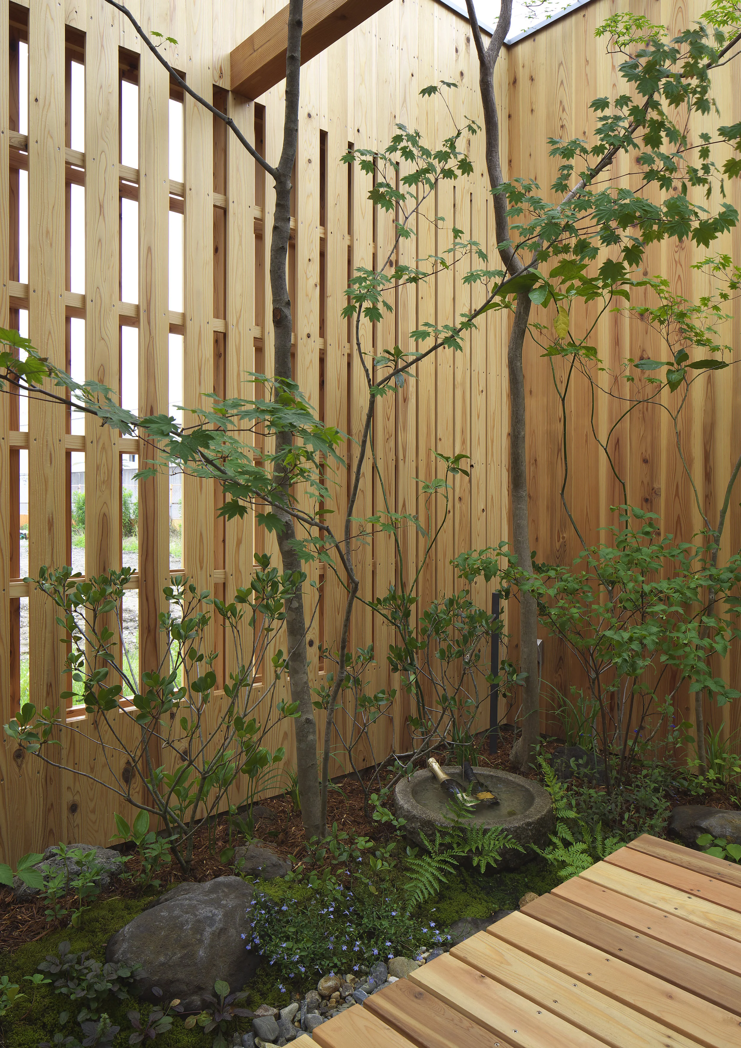 arbol-garden-wood.jpg