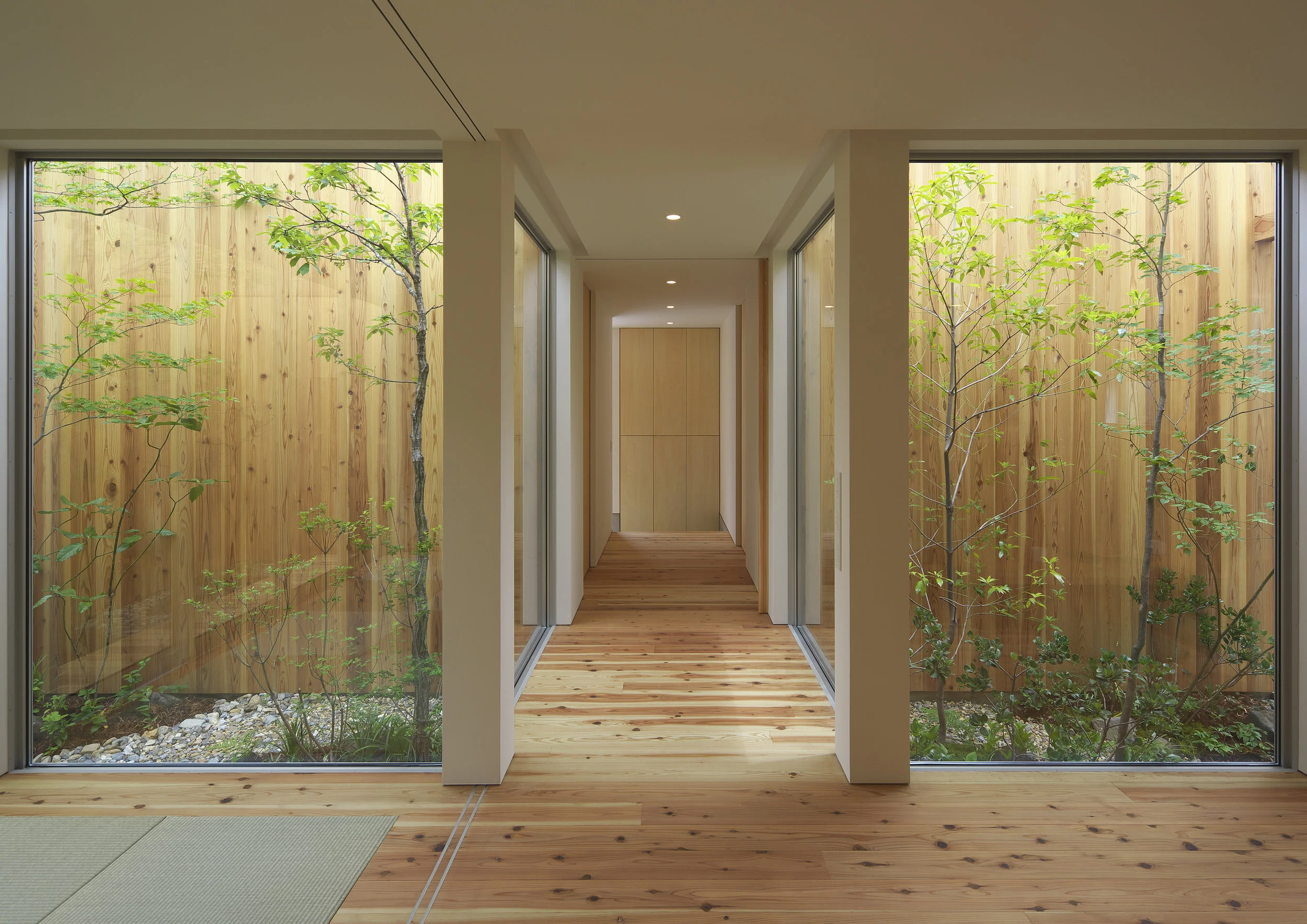 arbol-japanese-wood.jpg