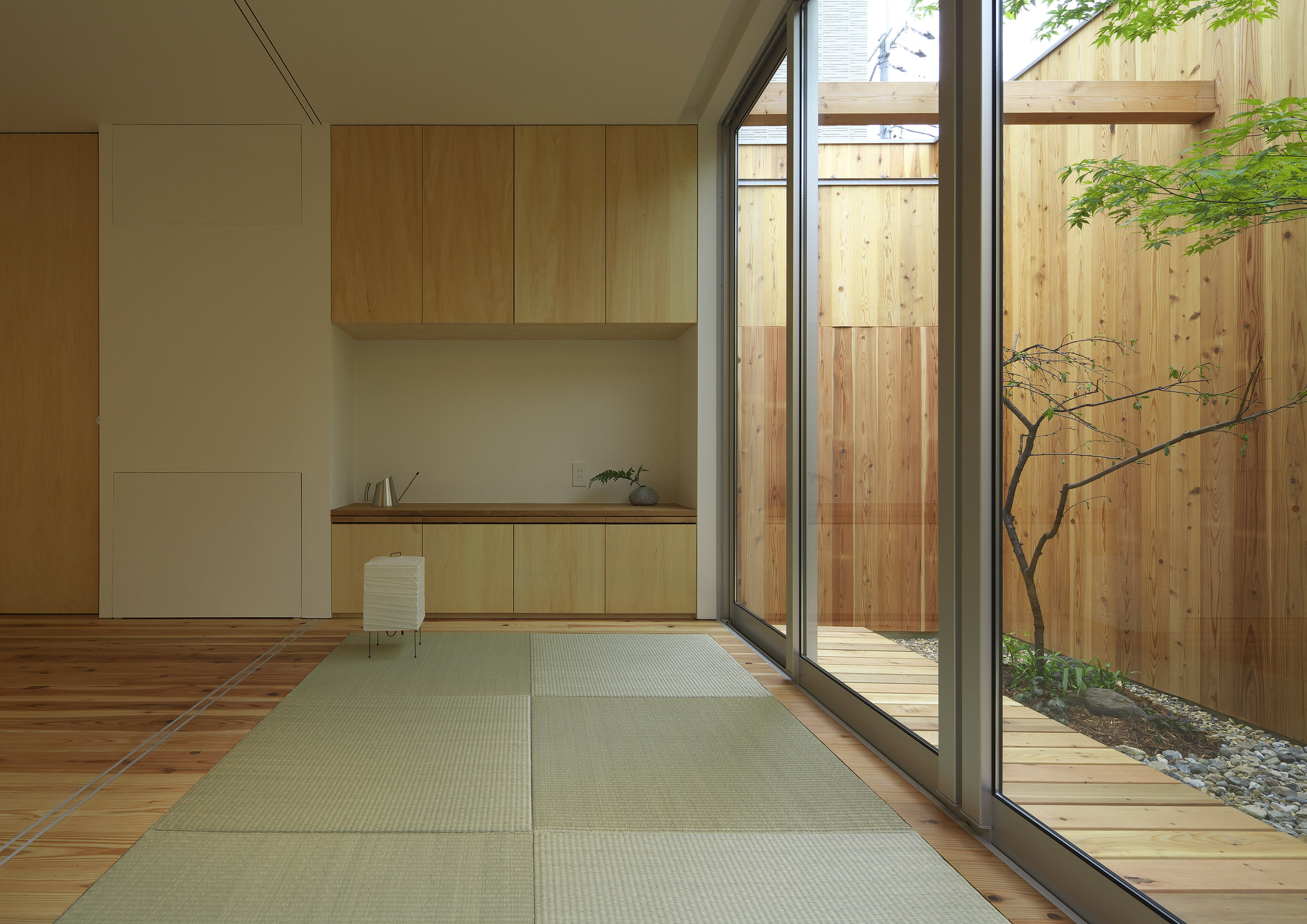 arbol-natural-tatami.jpg