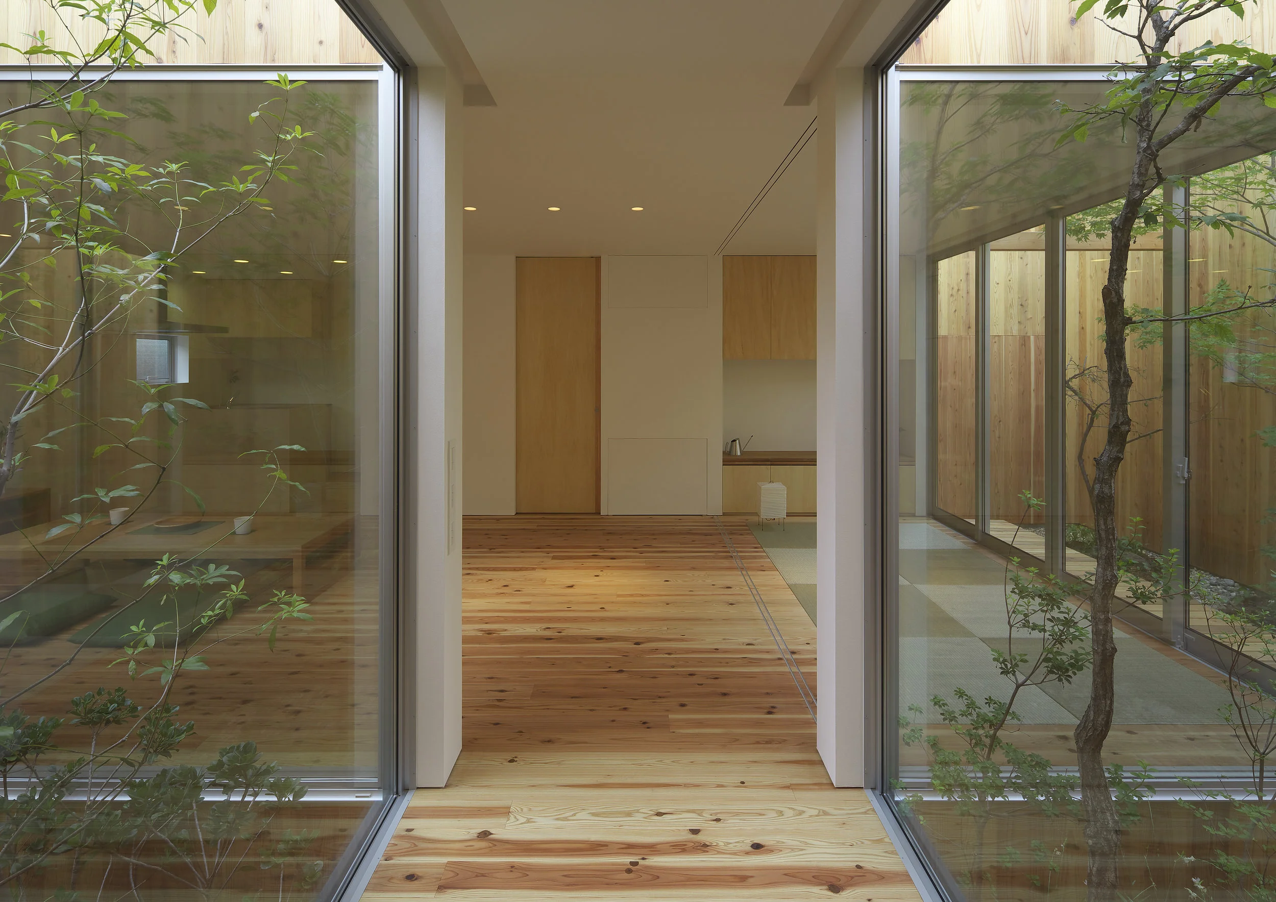 arbol-simplemodern-architecture.jpg