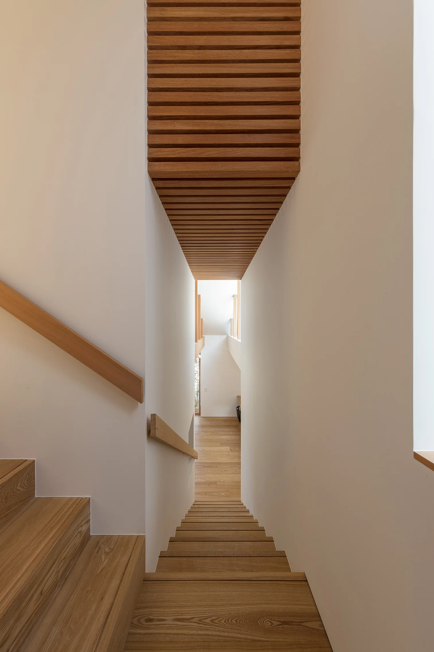 arbol-corridor.jpg