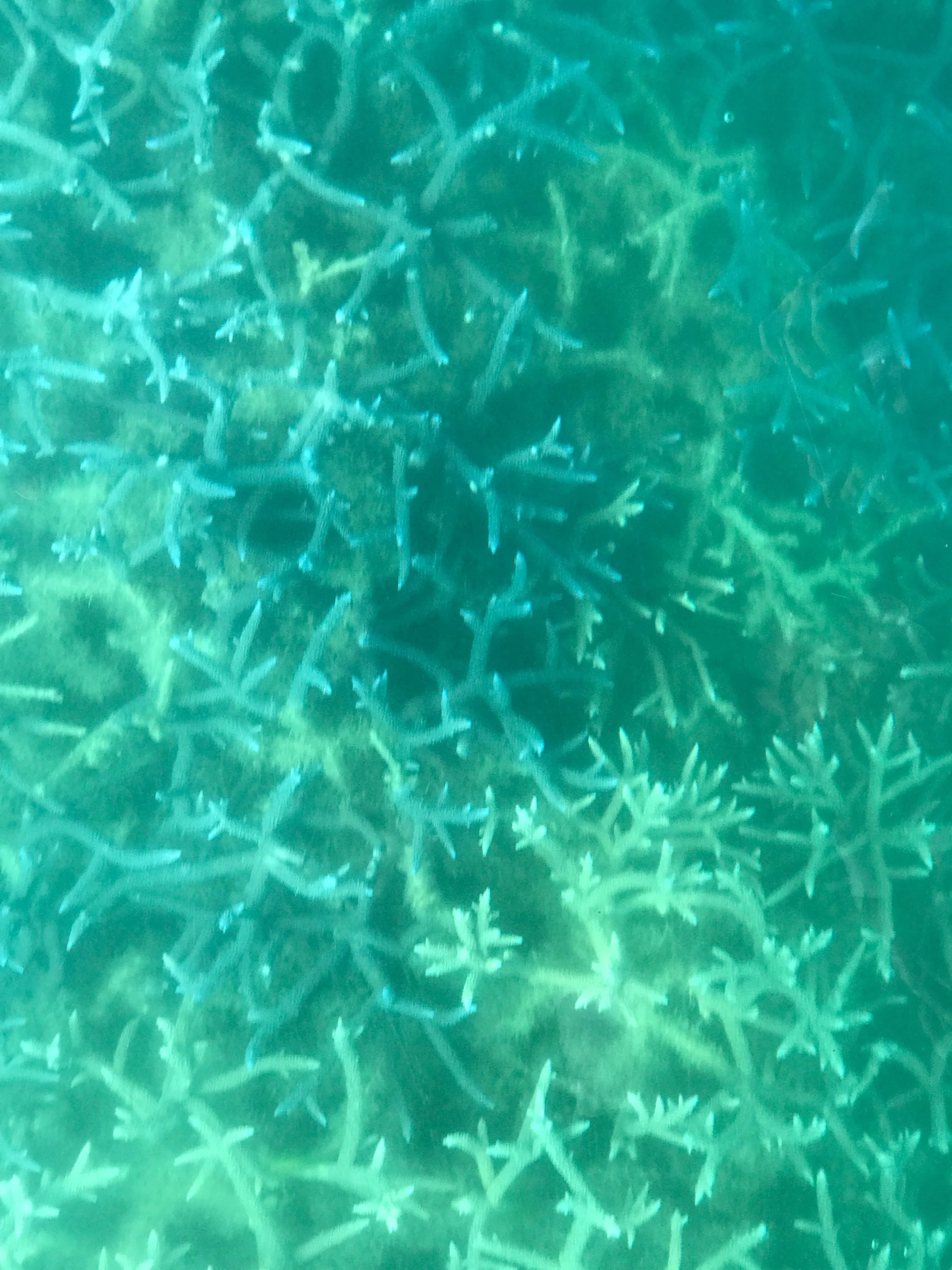 夏季休暇のお知らせ