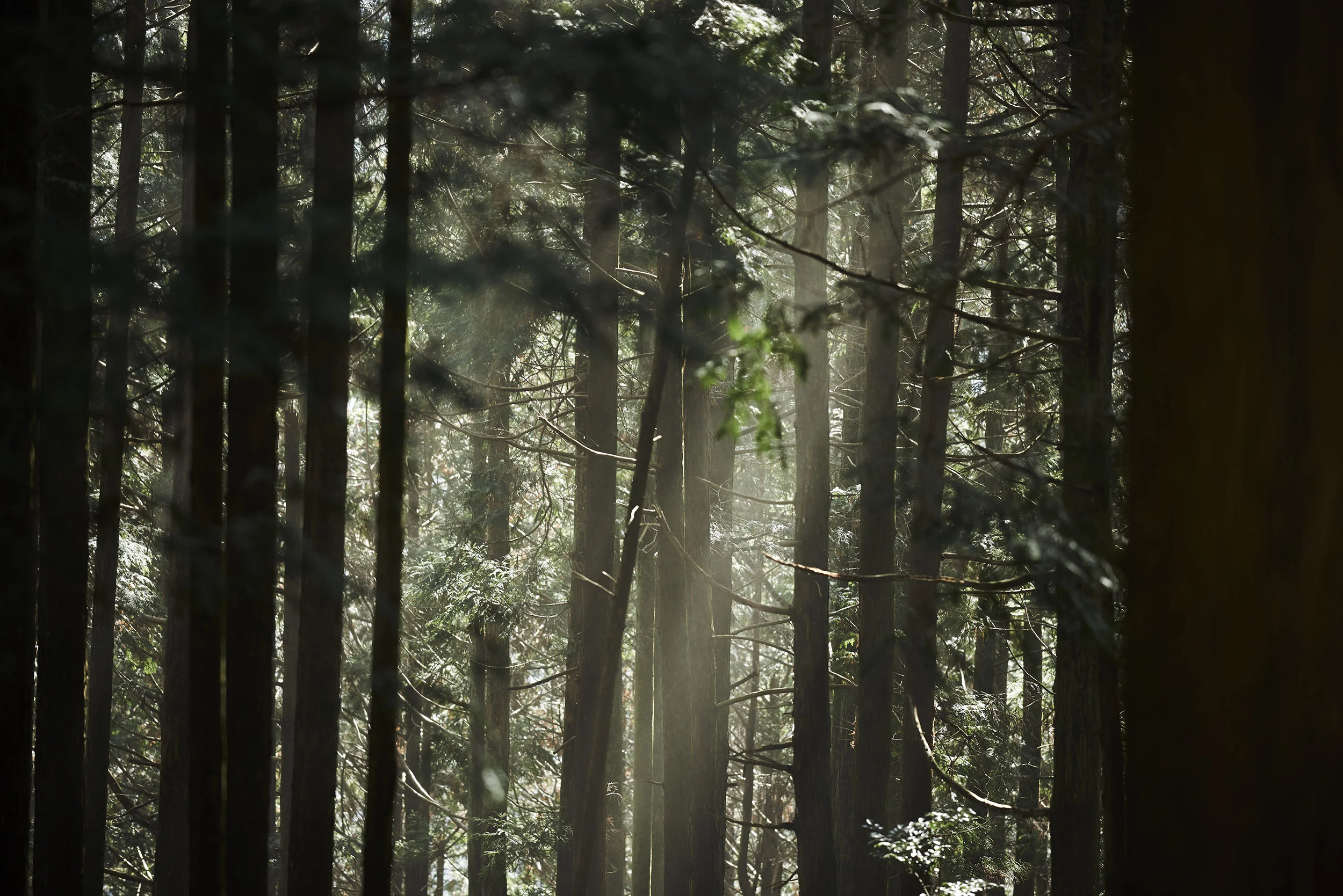 a_012.jpg