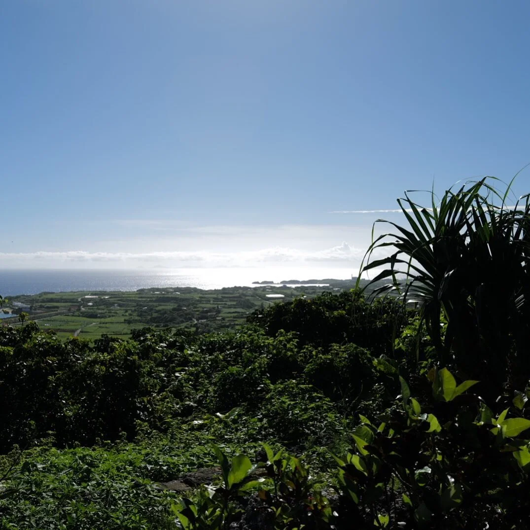 普段は何かと障害物があるので、海の近くから水平線をみるが、
丘からみる水平線は大地の迫力を感じで感動。
そして、太陽力強さをあらためて感じる。

#与論島
#絶景
#太陽光
#丘の景色
#多拠点居住 
#移住地探しの旅 
#ライフワーク
#ライフハック 
#ライフスタイル 
#リモートワーク 
#シンプルライフ 
#旅するミニマリスト建築家
#ワーケーション
#ノマド建築家
#ミニマムワーク
#ミニマリスト
#建築家
#ミニマリスト建築家
#ワーケーション建築家
#旅する建築家
#建築家の働き