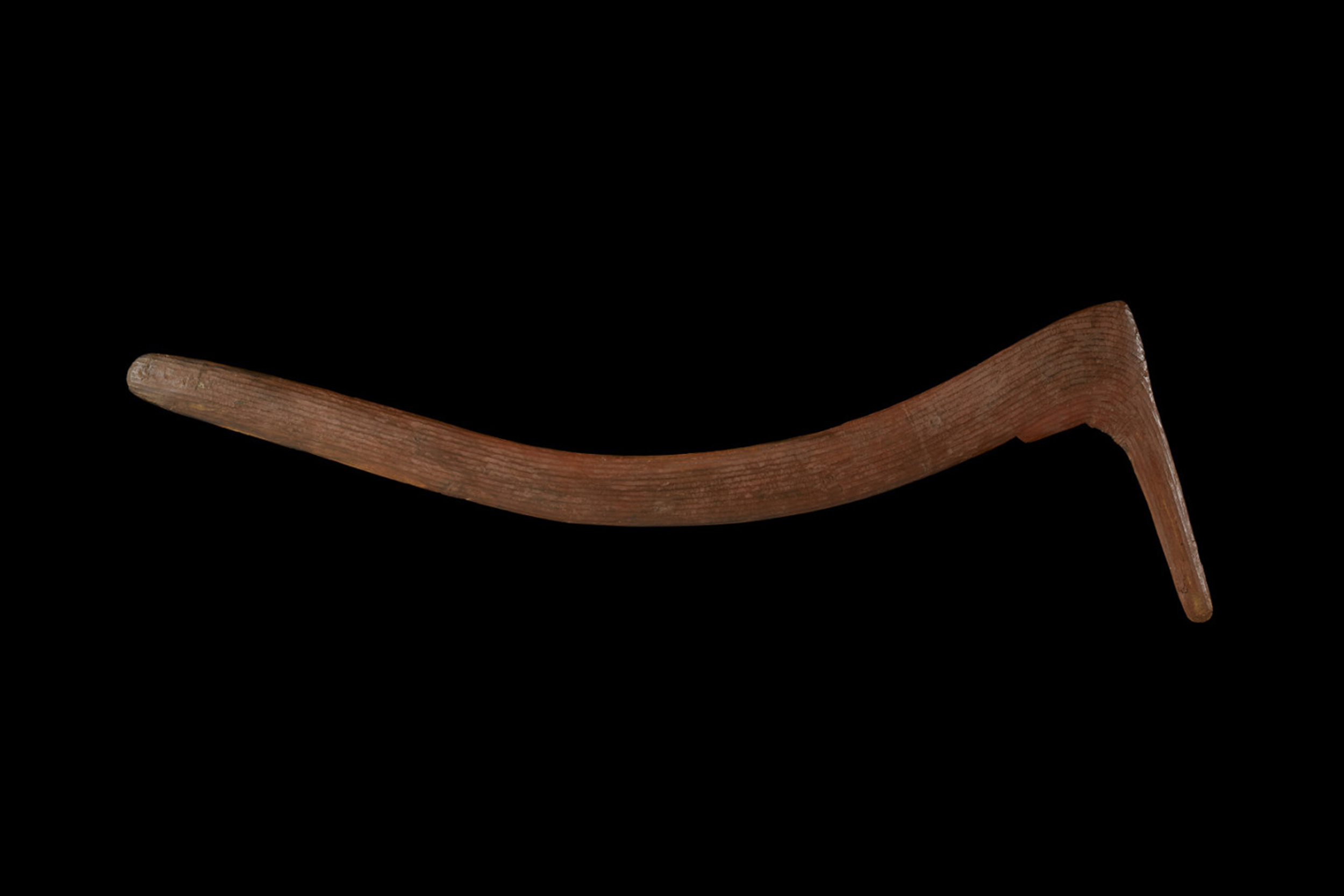  The Warumungu men of Tennant Creek and Alice Springs used hunting boomerangs fashioned from the base of wattle trees, where the trunk meets the root, to give them strength. 