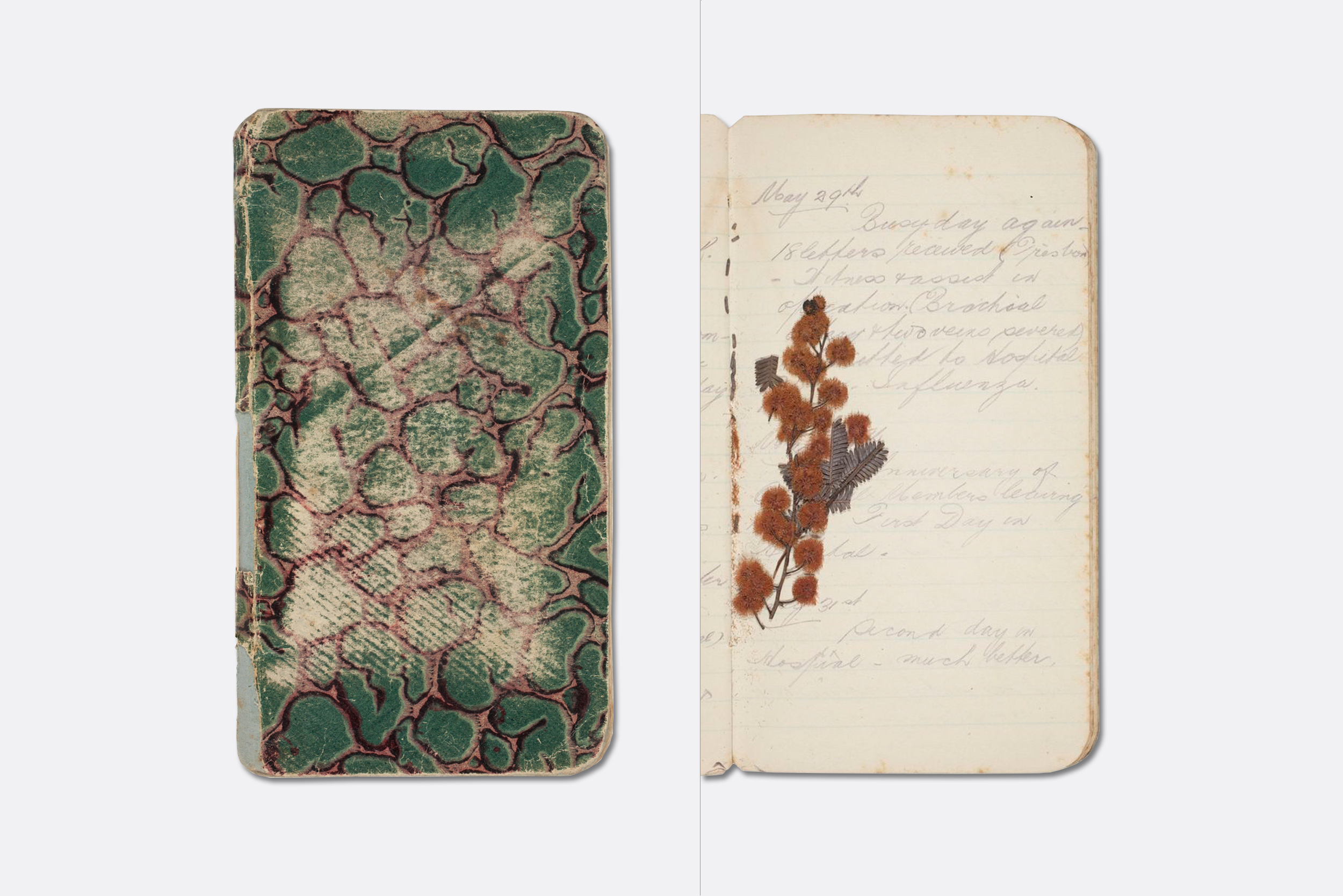  James Brunton Gibb war diary, 1916. Pressed wattle are inserted between the pages. Image courtesy of the Mitchell Library, State Library of New South Wales. 